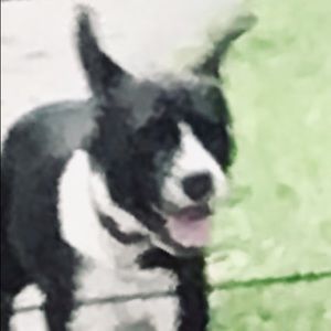 Meet your Posher, Ada